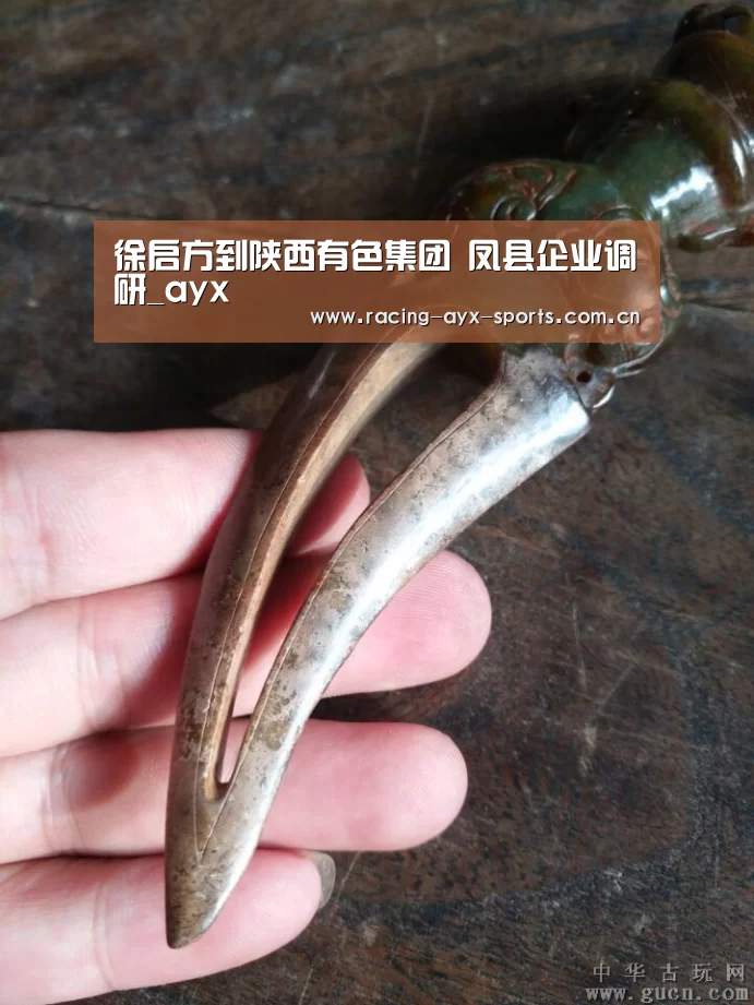 徐启方到陕西有色集团 凤县企业调研_ayx(图3) 徐启方到陕西有色集团 凤县企业调研_ayx(图3)