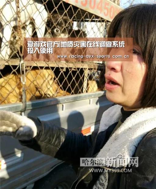 爱游戏官方|地质灾害在线调查系统投入使用(图3) 爱游戏官方