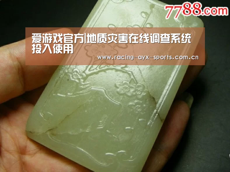 爱游戏官方|地质灾害在线调查系统投入使用(图4) 爱游戏电竞