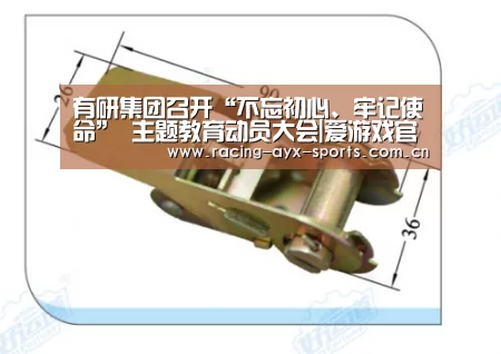 有研集团召开“不忘初心、牢记使命” 主题教育动员大会|爱游戏官方(图2) 爱游戏官方