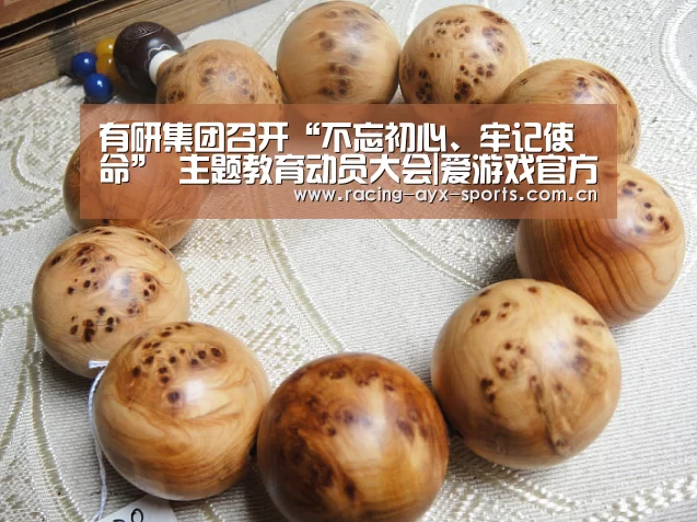 有研集团召开“不忘初心、牢记使命” 主题教育动员大会|爱游戏官方(图1) 爱游戏电竞