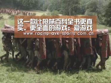 这一款比枪械百科全书更真实、更全面的游戏:爱游戏官方(图1) 爱游戏电竞