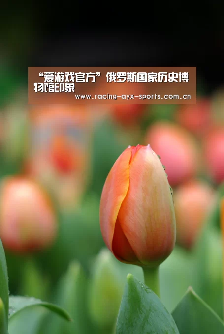 爱游戏电竞